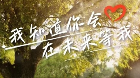 我知道你会在未来等我(全集)