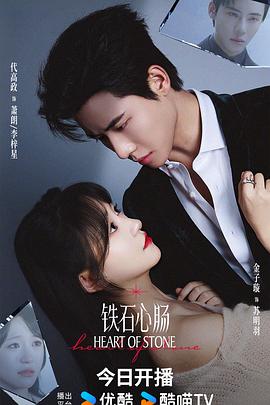 铁石心肠第17集