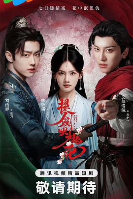 提剑映桃花第04集