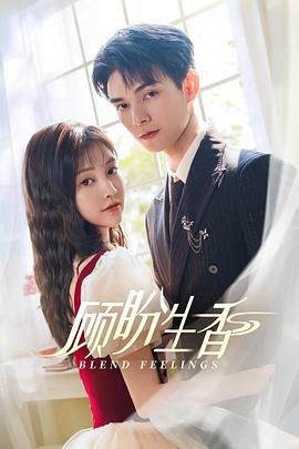 顾盼生香第04集