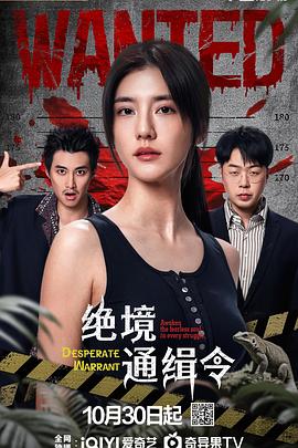 绝境通缉令第08集