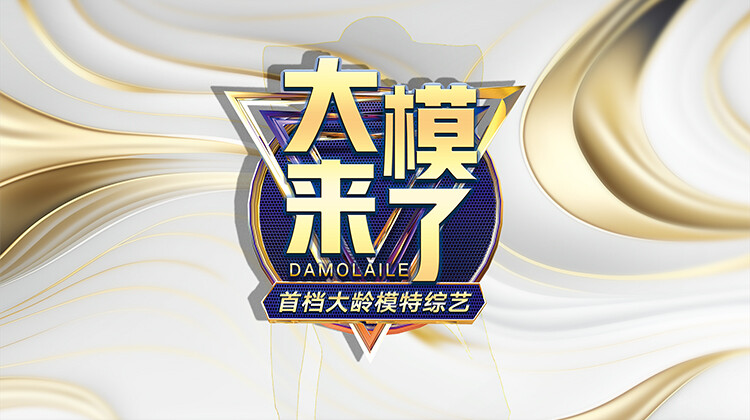 大模来了第20251128期