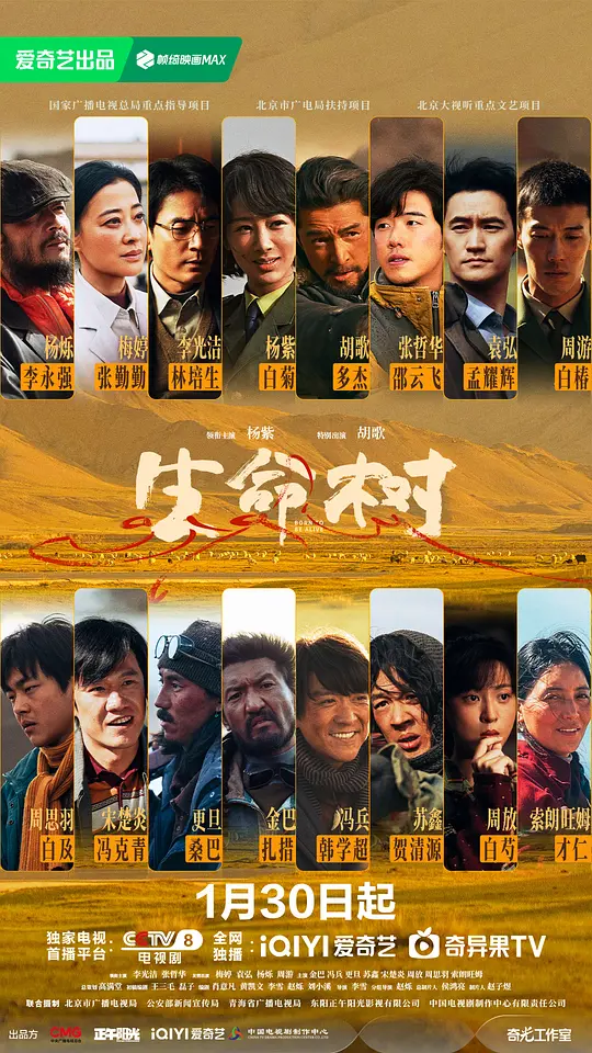 生命树第06集