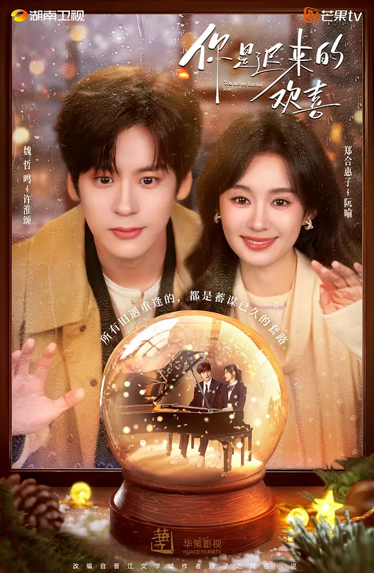 你是迟来的欢喜第16集