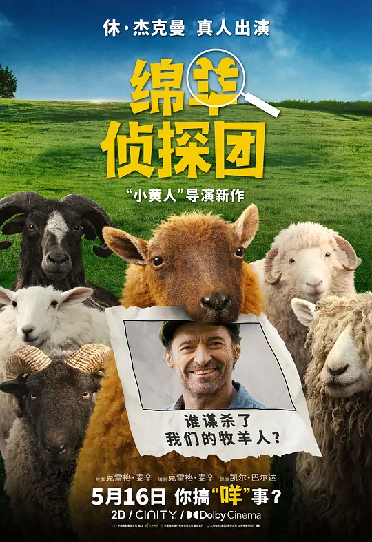 绵羊侦探团